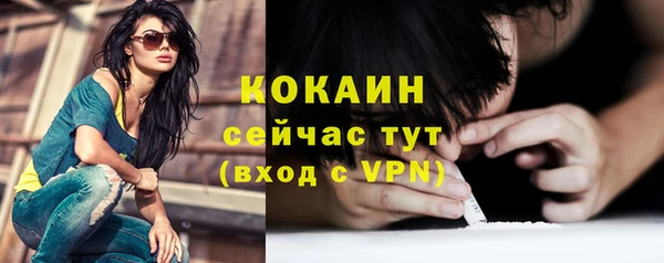 ешки Верхний Тагил