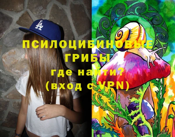 ешки Верхний Тагил