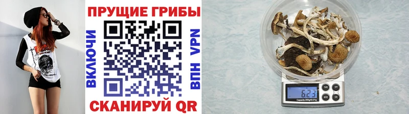 Псилоцибиновые грибы прущие грибы  Новохопёрск 